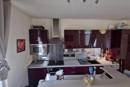 馬賽的住宿－Marseille superbe appartement très bien situé，厨房配有深紫色橱柜和厨房水槽