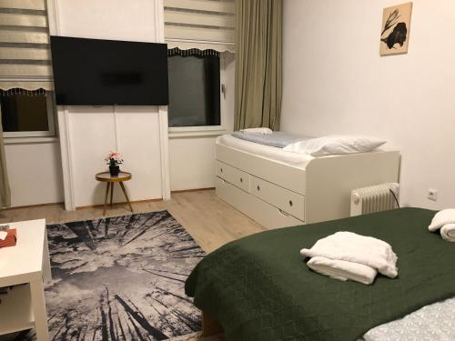 a bedroom with two beds and a flat screen tv at Convenient Shared Apartment - near Danube & Millenium Tower in Vienna