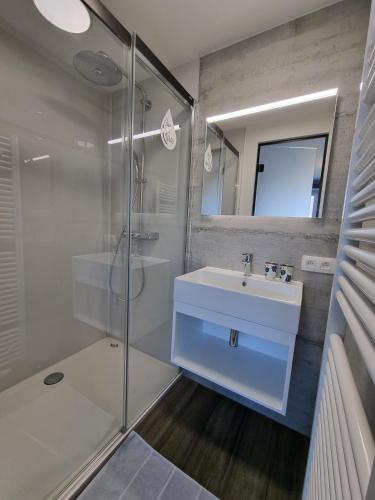 a bathroom with a white sink and a shower at Gîte 'Il y a' 11 à 13 pers #Nature #Familles #Calme #Pas d'abus d'alcool in Marche-en-Famenne