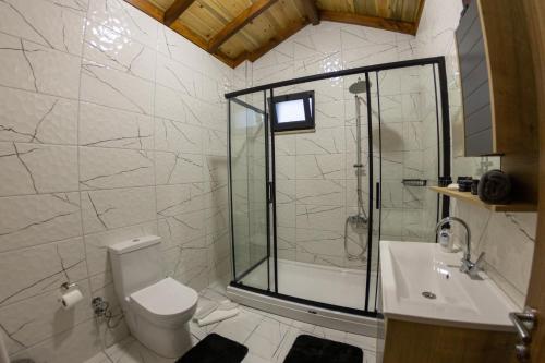 a bathroom with a shower and a toilet and a sink at sapancafamilyresort Isıtmalı jakuzili havuzu ile Ahşap aile villası in Kartepe