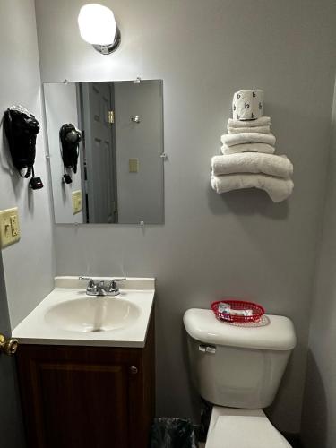 a bathroom with a sink and a toilet and a mirror at Relax Inn - Saginaw in Saginaw
