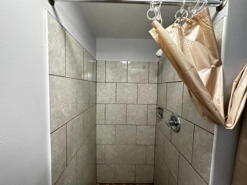 a bathroom with a shower with a curtain at Relax Inn - Saginaw in Saginaw