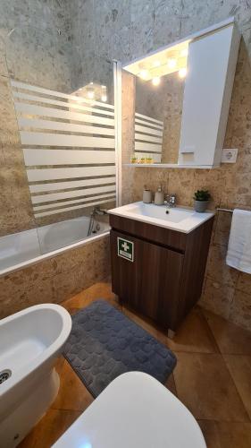 uma casa de banho com um lavatório, um WC e um espelho. em Santa Clara Apartments em Ponta Delgada