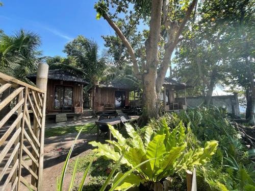 a house with a tree and some plants at La Tortue Diving Resort Dauin in Dauin