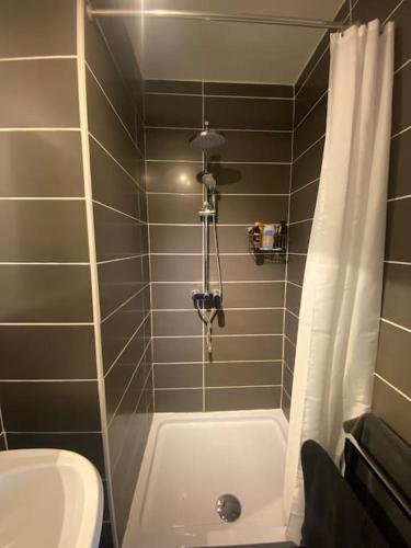 une salle de bain avec une douche, des toilettes et un lavabo dans l'établissement Le gîte du cerf, à Hargnies