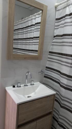 ein Bad mit einem Waschbecken und einer Dusche in der Unterkunft CENTRO NORTE ll a 400 mts del centro con cochera incluida in Bahía Blanca