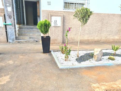two potted plants in front of a building at Adam appart in Dar Bouazza