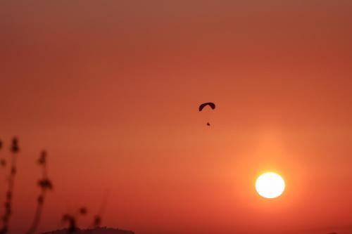 een vogel die voor de zonsondergang vliegt bij North Wind 57 in Bir