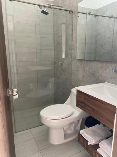 梅爾加的住宿－HOTEL MELGAR PLAZA，带淋浴、卫生间和盥洗盆的浴室
