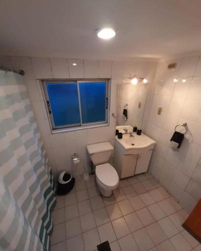 La salle de bains est pourvue de toilettes et d'un lavabo. dans l'établissement Refugio Martin Pescador, à Coyhaique