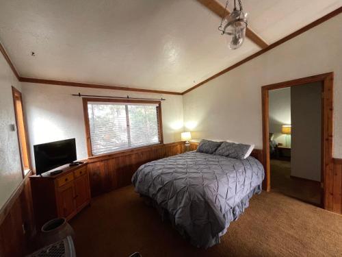 een slaapkamer met een bed en een televisie. bij Adventures Vacation Rentals in Lava Hot Springs