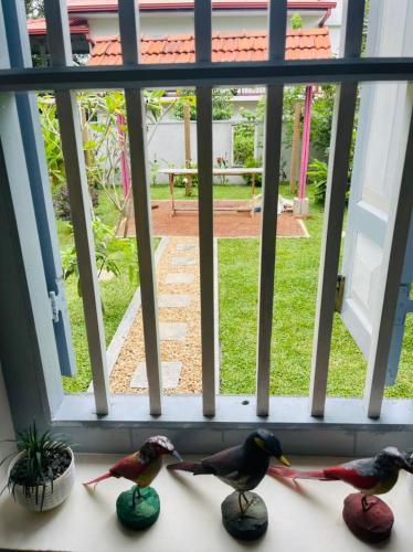 three birds sitting on a window sill looking out at a yard at Birdsong Villa in Rathgama