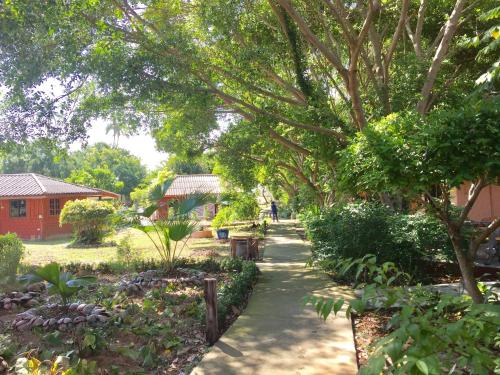 a path through a garden with trees and plants at Lamai chalet in Amphoe Koh Samui