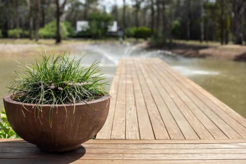 a wooden pier with a potted plant sitting on it at The Woods Pokolbin in Pokolbin