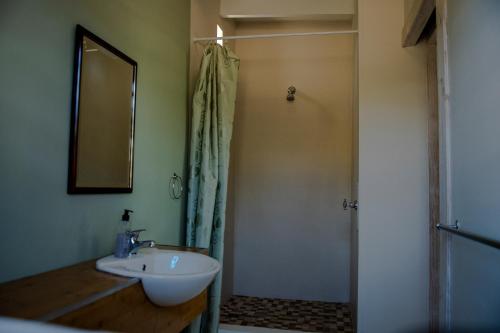 a bathroom with a sink and a shower at The Cowshed in McGregor