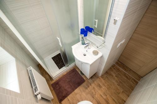 a bathroom with a white sink and a mirror at Apartment Žvan in Bohinj