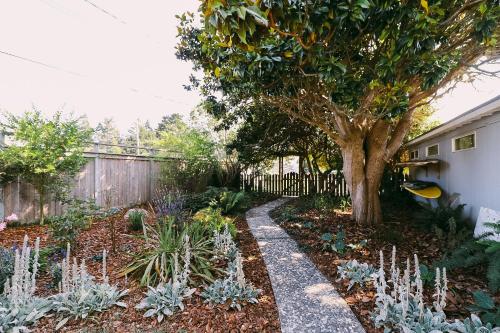 a garden with a tree and some plants at Rock Rose Cottage in Trinidad