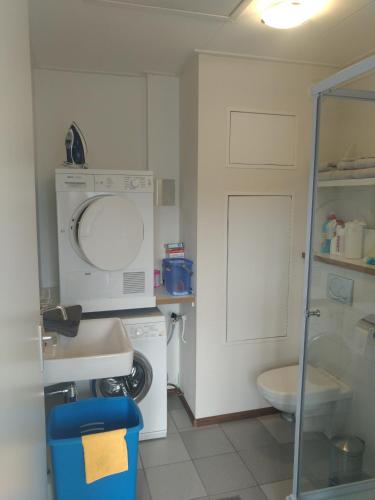 a small bathroom with a washing machine and a washer at etage met slaap, en badkamer in Sommelsdijk