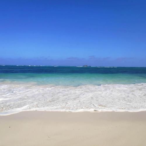 a beach with the ocean and the shoreline at Sunny garden rooms Watamu in Watamu