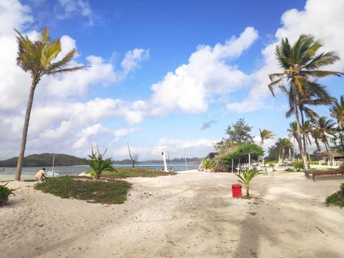 a sandy beach with palm trees and the ocean at Sunny garden rooms Watamu in Watamu