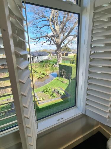 a window with a view of a tree at The Greytown Loft in Greytown