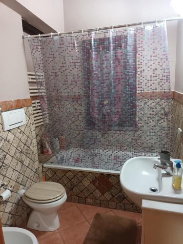 a bathroom with a shower and a toilet and a sink at VILLA ANNA in Casale la Cogna