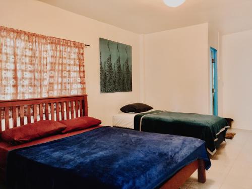 班拉克海灘的住宿－Green Garden，客房设有两张床、一张沙发和一个窗口。