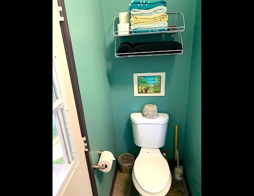 a bathroom with a toilet and a green wall at Puna Pod in Pahoa