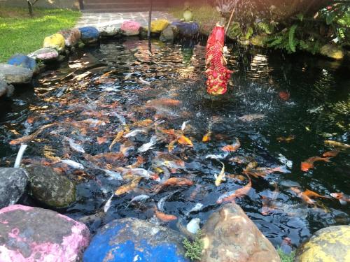 Imagen de la galería de Country Homestay, en Guoxing