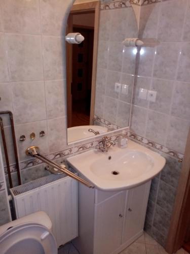 a bathroom with a sink and a toilet at Noclegi in Poznań