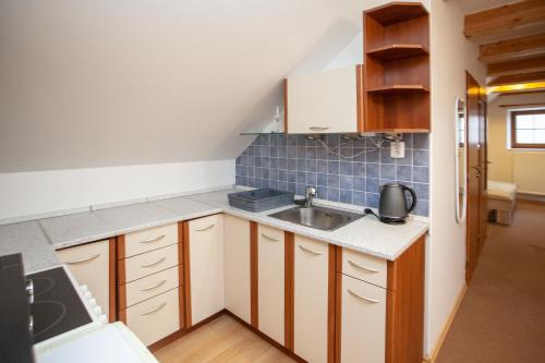 Kuchyň nebo kuchyňský kout v ubytování Apartmány NaVyhlídce