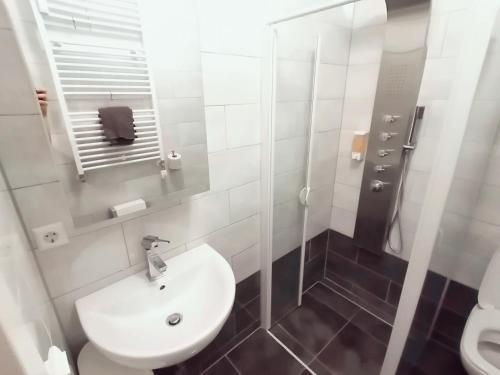 y baño con aseo, lavabo y ducha. en Panorama Appartements Binter No. 1 en Hermagor