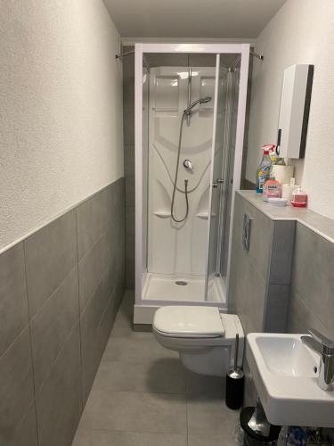 a bathroom with a shower and a toilet and a sink at 4-Jahreszeiten FeWo im Herzen Montabaur in Montabaur