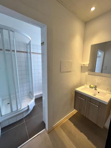a bathroom with a sink and a mirror at La Villa Blanche Spa in Spa