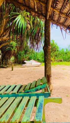 a green bench sitting on the beach next to a tree at Manel Villa in Bentota