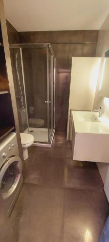 uma casa de banho com um chuveiro, um lavatório e uma máquina de lavar roupa em Mascotte em Cannes