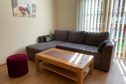 sala de estar con sofá y mesa de centro en Daniela 1 by SMR Luxury Apartments, en Rauris