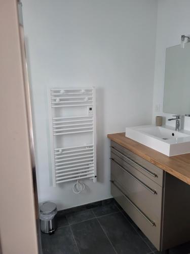 een badkamer met een wastafel en een aanrecht met een spiegel bij Le clos de la baie in Cancale