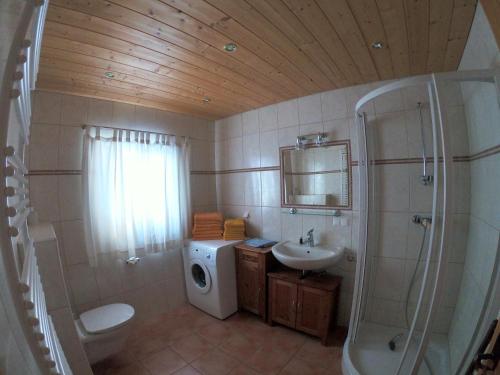 een badkamer met een douche, een toilet en een wastafel bij Fuggerhütte in Flattnitz