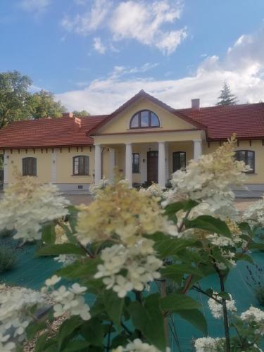薩諾克的住宿－DOM WESELNY 'DWÓR W JUROWCACH'，前面有白色花的房子