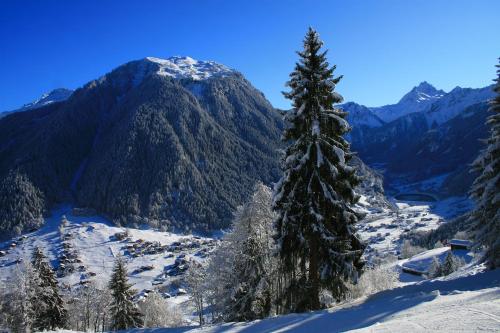 a snow covered mountain with a tree in the foreground at Haus am Rain in Partenen