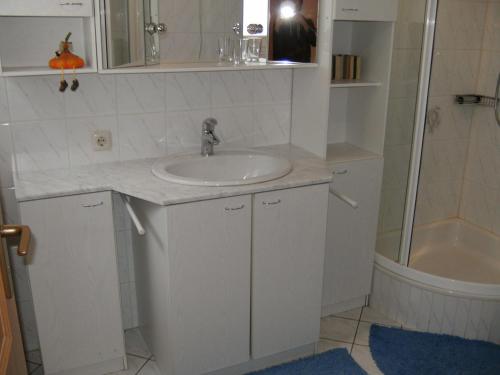 bagno bianco con lavandino e doccia di Ferienwohnung-in-schoenster-Lage a Baar