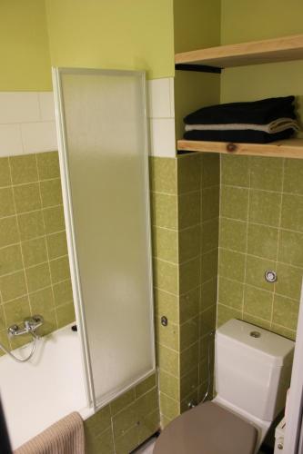 uma casa de banho com um chuveiro e um WC. em Cosy F2 EuroAirport Basel-Mulhouse em Saint-Louis