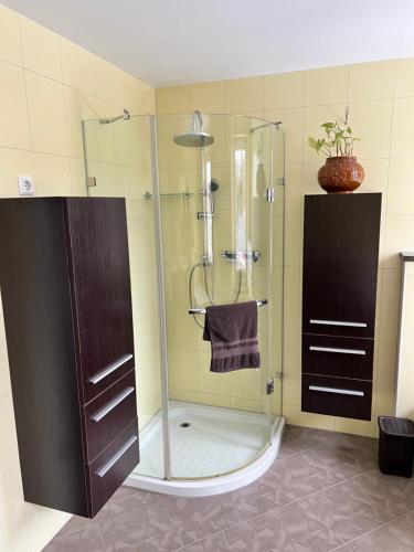 een badkamer met een douche en een glazen deur bij Ferienwohnung Starennest in Thermalbad Wiesenbad