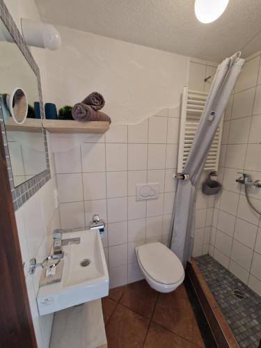 a bathroom with a toilet and a sink at Ferienwohnung am sonnigen Haimberg in Fulda
