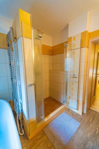 a bathroom with a shower and a toilet and a rug at Luxusní vila v Rudici in Rudice