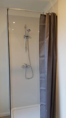 een douche in een badkamer met een douchegordijn bij B44 appartment in Brussel