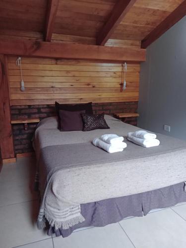 サン・マルティン・デ・ロス・アンデスにあるcabaña meliquina Minihouseのベッドルーム1室(大型ベッド1台、枕2つ付)