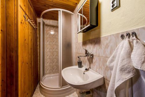 La salle de bains est pourvue d'un lavabo, d'une douche et de toilettes. dans l'établissement Old Fashioned Cottage in Lopusna dolina near High Tatras, à Lučivná