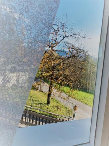 a view of a tree from a window at Casa Martina in Malosco